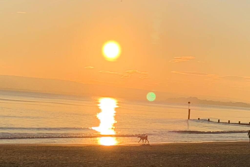 Bournemouth Nr Town Beach Train Coach Shops Lovely Entire Apartment Allows Quiet Good Dogs Zewnętrze zdjęcie
