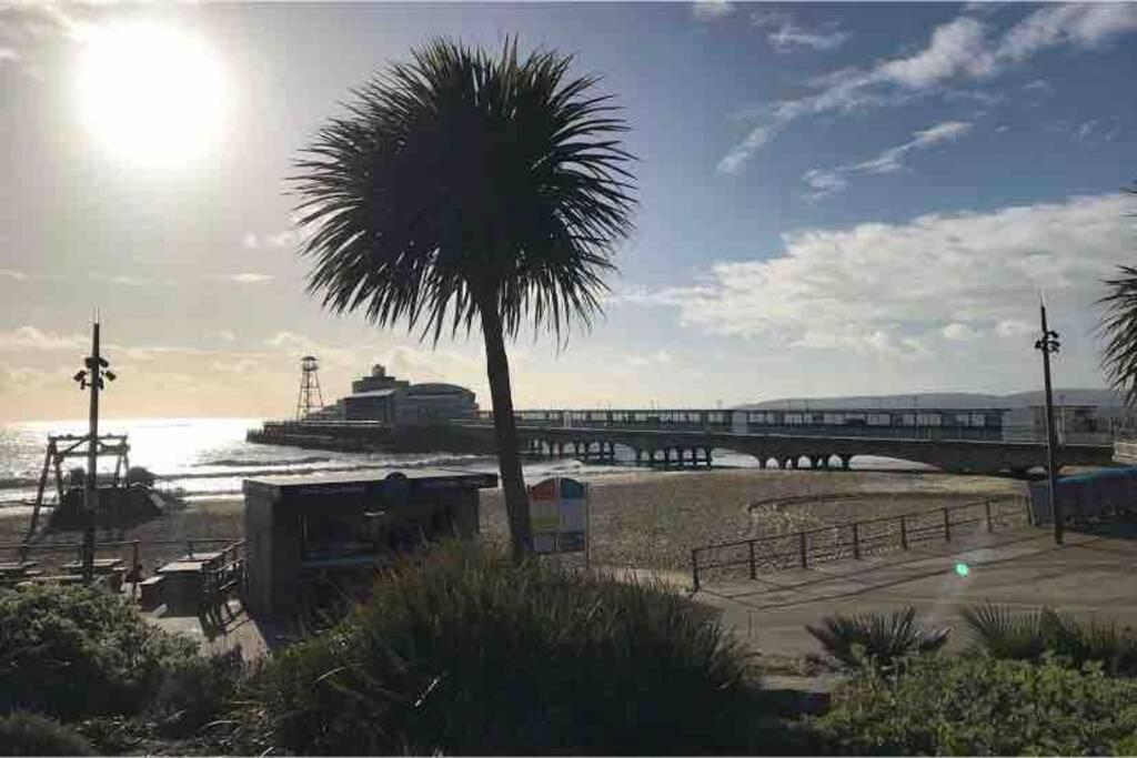 Bournemouth Nr Town Beach Train Coach Shops Lovely Entire Apartment Allows Quiet Good Dogs Zewnętrze zdjęcie
