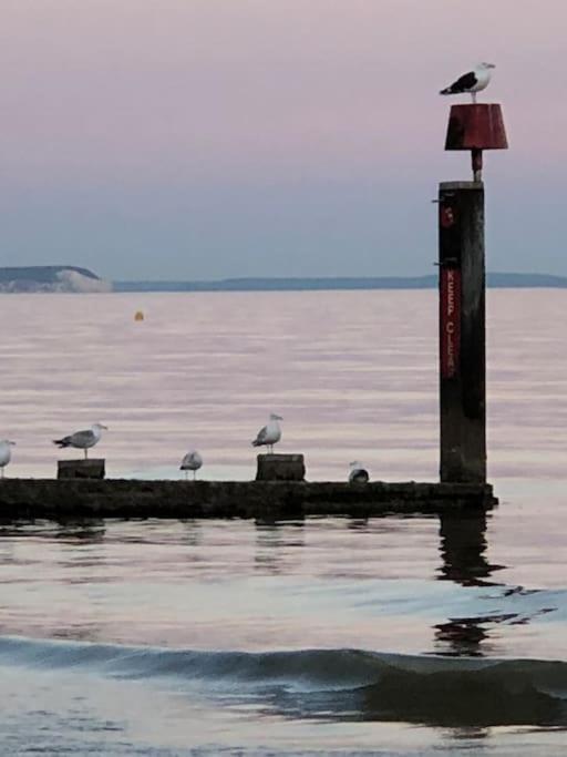 Bournemouth Nr Town Beach Train Coach Shops Lovely Entire Apartment Allows Quiet Good Dogs Zewnętrze zdjęcie